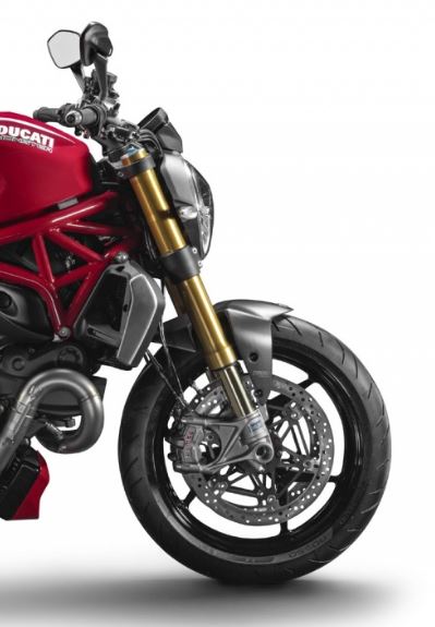 Garde boue AV LighTech carbone mat Monster 1200 / S (14-16)