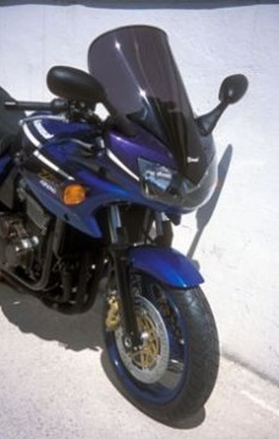 Bulle haute protection +15cm Ermax ZRX1200S (2001-2006)