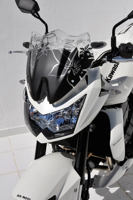 Saute vent sport double galbe 29cm Ermax Z750 (2007-2012)