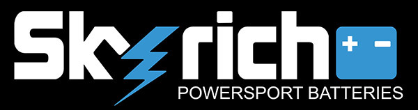 SKYRICH : Batterie, Booster et chargeur SKYRICH : Batterie, Booster et chargeur