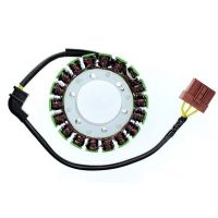 Stator ElectroSport ETV1000 Caponord (2001-2009)