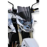 Saute vent sport 26cm Ermax GSR750 (11-16)