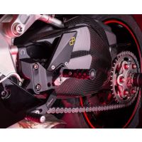 Couvre bras oscillant LighTech carbone brillant 1199 Panigale