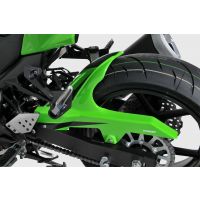 Garde boue AR Ermax Z750 (07-12)