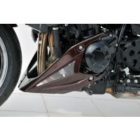 Sabot moteur Ermax Z1000 (10-13)