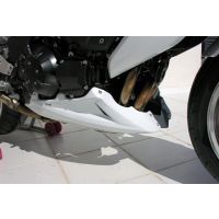 Sabot moteur Ermax Z1000 (07-09)