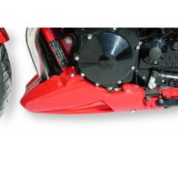 Sabot moteur Ermax GSF650 Bandit (2005-2006)