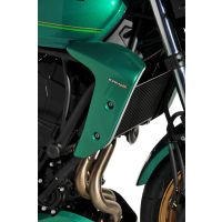 Ecopes de radiateur Ermax Z650RS (22-25)