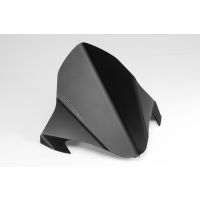 Saute vent Warrior DPM Race CB1000R (08-17)