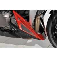 Sabot moteur Ermax Z1000 (14-20)