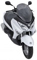 Pare brise sport 54cm Ermax UH125 Burgman (07-16)