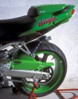 Garde boue AR Brut Ermax ZX-9R (00-01)
