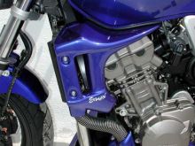 Ecopes de radiateur Ermax CB900 Hornet (02-07)