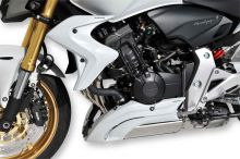 Ecopes de radiateur Ermax CB600F Hornet (11-14)