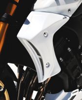 Ecopes de radiateur Ermax FZ8 N (10-16)