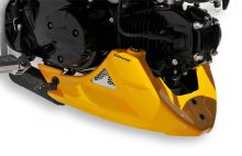 Sabot moteur 2 parties + grille Ermax MSX125 (13-15)