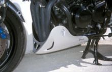 Sabot moteur Ermax FZS600 Fazer (98-03)