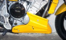 Sabot moteur Ermax FZS1000 Fazer (01-05)