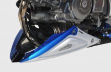 Sabot moteur Ermax SVF650 Gladius (09-16)
