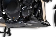 Sabot moteur Ermax GSF1250N Bandit (10-14)