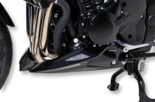 Sabot moteur Ermax GSF1250S Bandit (15-17)