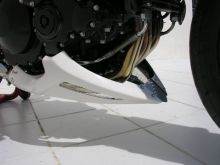 Sabot moteur Ermax Speed Triple 1050 (05-07)