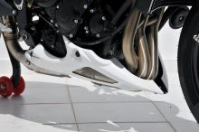 Sabot moteur Ermax Street Triple 675 (12)