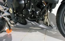 Sabot moteur Ermax Street Triple 675 R (09-11)