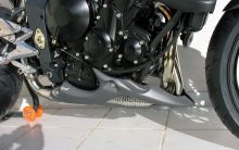 Sabot moteur Ermax Street Triple 675 R (2009-2011)