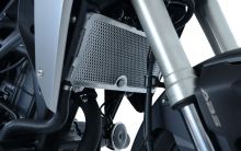 Protection de radiateur noire R&G CB300R (18-20)