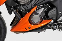 Sabot moteur Ermax Z800 / E (13-16)